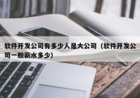 软件开发公司有多少人是大公司（软件开发公司一般薪水多少）