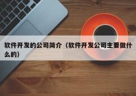 软件开发的公司简介（软件开发公司主要做什么的）